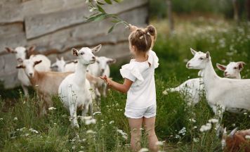 Urlaub am Bauernhof: Diese Höfe zählen jetzt offiziell zu Österreichs bestbewerteten Adressen