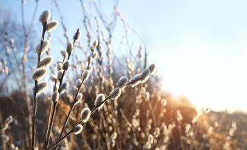 März-Bilanz 2026: Österreich schwitzt, Regen fehlt