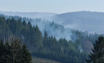Waldbrand durch Kinder ausgelöst: 500 Quadratmeter Wald in Flammen