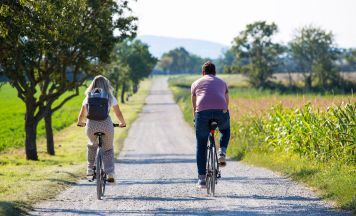 Grünraum-Offensive Wien: Mega-Kooperation schützt Naturgürtel für Millionen Menschen