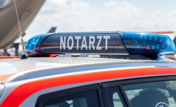 Tödlicher Forstunfall in der Steiermark: 69-Jähriger von Baum erschlagen