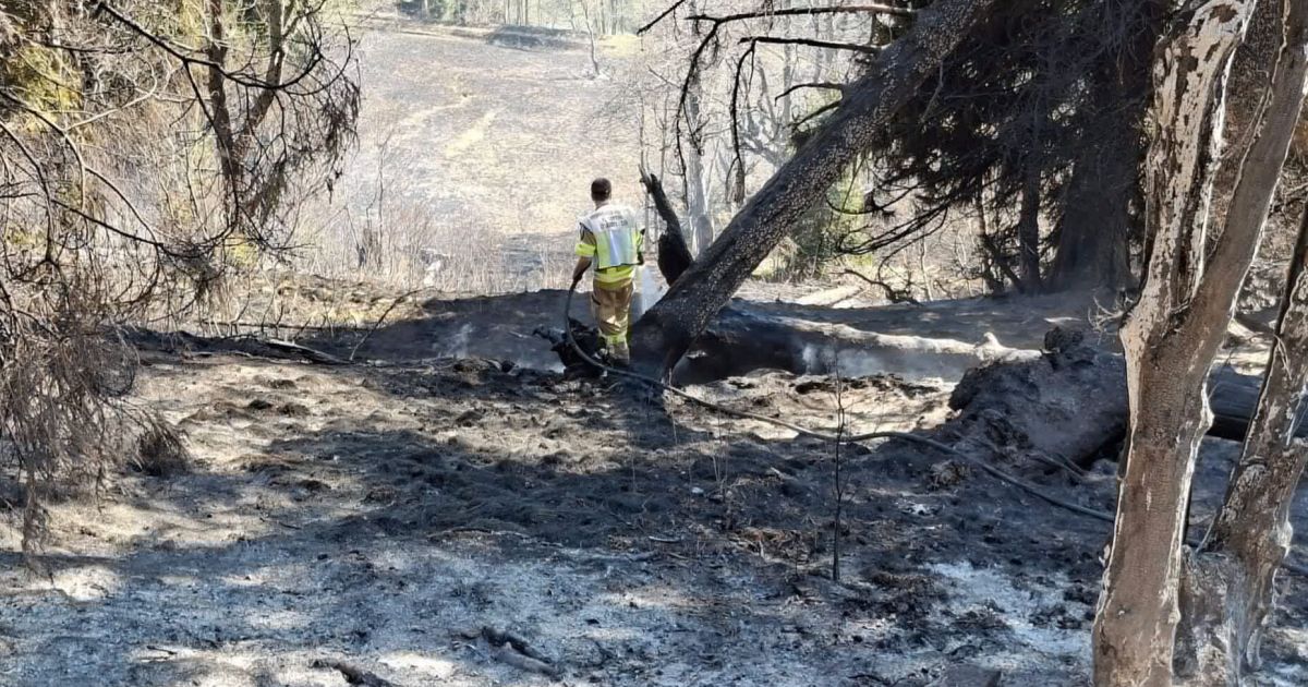 Forest fire in the Lesach Valley: 980 firefighters battle the flames - | ...