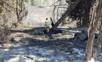 Waldbrand im Lesachtal: 980 Feuerwehrleute kämpfen gegen Flammen – „Brand aus“ rückt näher