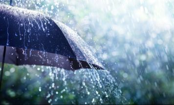 Trockenheit in Österreich: Warum der Regen die Dürre kaum stoppen konnte