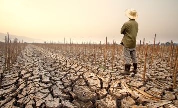 Signale deuten auf El Niño hin: Wetterphänomen könnte bis Winter anhalten