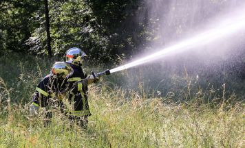 Waldbrand in Niederösterreich: 60 Feuerwehrleute im Einsatz