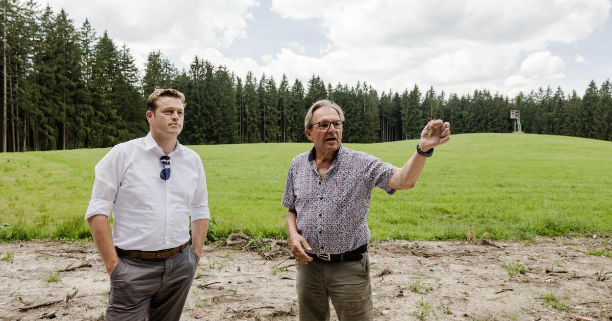 Planned composting plant draws criticism in Neukirchen an der Vöckla