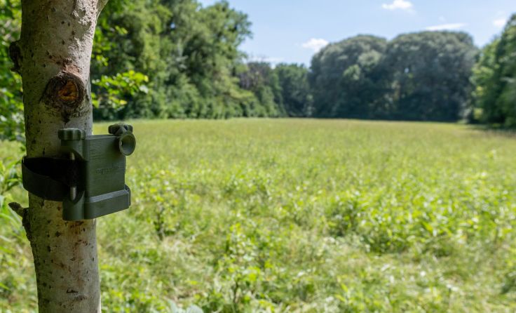 Rekorder für akustisches Monitoring im Nationalpark Donau-Auen (Foto: oebf/capreolus)