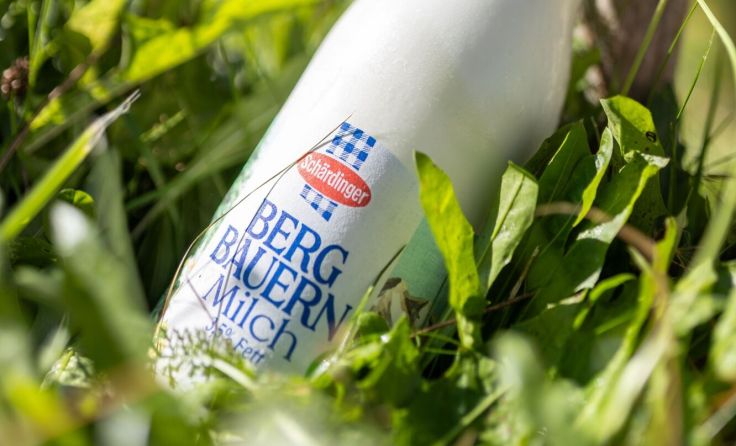 Schärdinger bleibt Österreichs meistgewählte Lebensmittel Marke (Foto: Daniela Köppl)