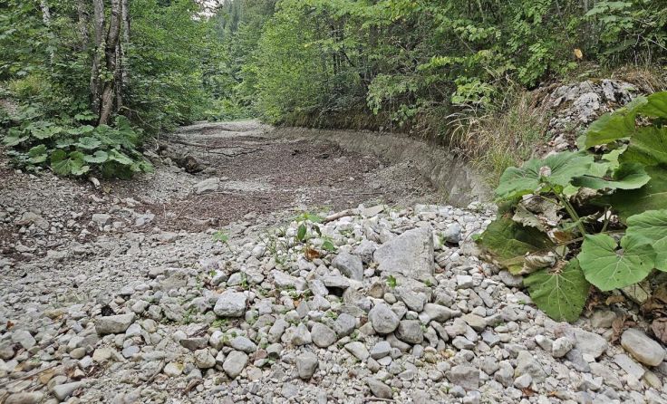 Langbathbach in Ebensee völlig ausgetrocknet (Foto: Hörmandinger)