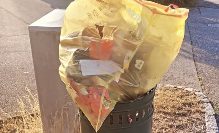 Illegale Müllentsorgung in Seewalchen (Foto: Gemeinde Seewalchen)