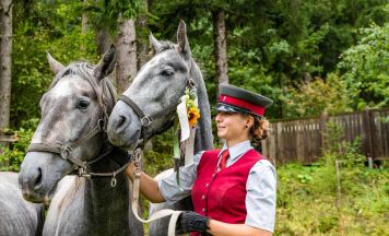 Lipizzaner-Almabtrieb 2026 bringt neue Angebote nach Köflach