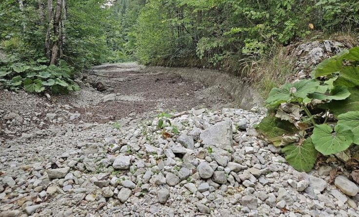 Vielerorts sind Bäche völlig ausgetrocknet (Foto: Hörmandinger)