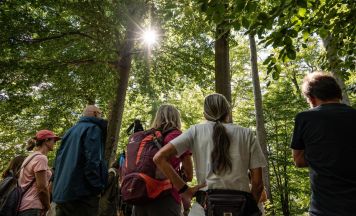 Bundesforste laden zu kostenlosen Waldführungen in Österreich