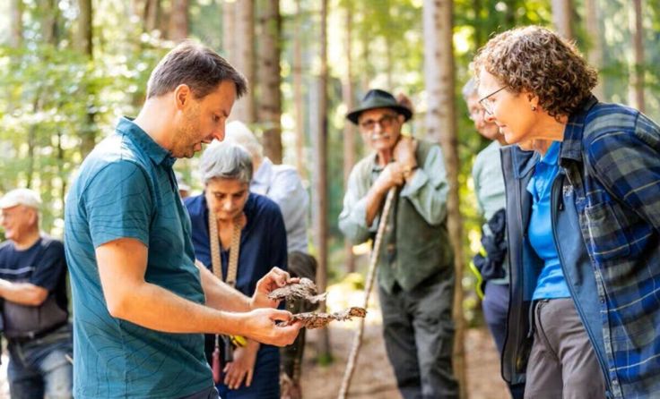 Wald der Zukunft Führung (Foto: oebf/Michael Stabentheiner)