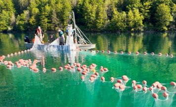 Forscher entdecken im Langbathsee starken Seesaiblingsbestand
