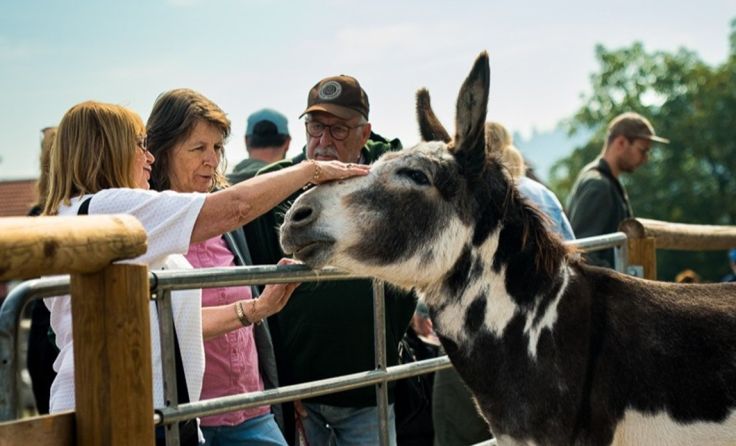 Tierische Begegnungen auf Gut Aiderbichl Deggendorf. (Foto: Tim Borgmann)