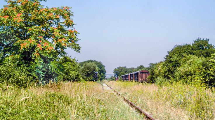 Dieses alte Bahnareal wird Wiens größtes Renaturierungsgebiet