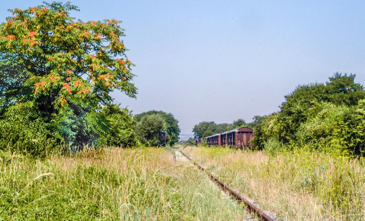 Verschiebebahnhofs in Breitenlee (Foto: Stadt Wien)