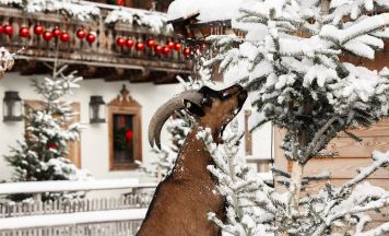 Weihnachtszauber bei Gut Aiderbichl: Tiere und neue Krippe warten