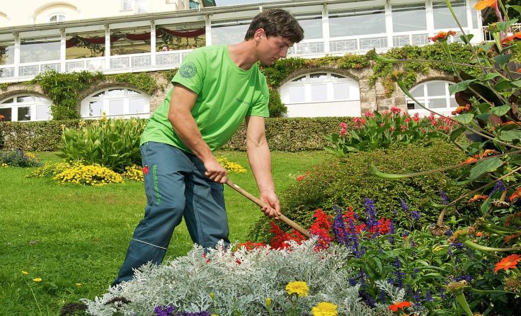 Der Maschinenring sorgt für einen gepflegten Garten. Foto: Maschinenring