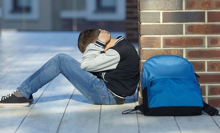 Foto: Roman Bodnarchuk/shutterstock.com