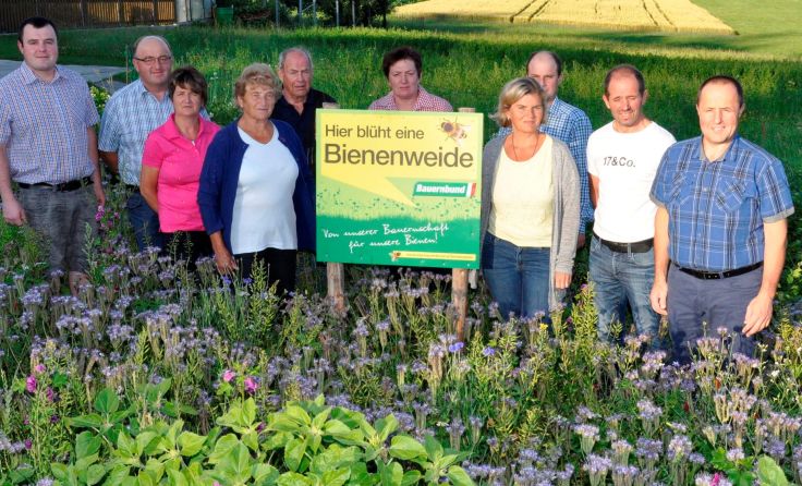 Ortsbauernschaft, Bauernbund und Grundbesitzer trafen sich zum Lokalaugenschein. Foto: J.Reingruber