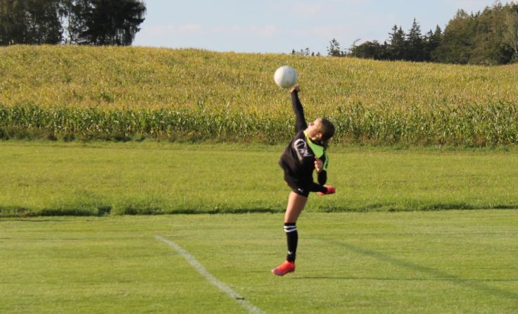  (Foto: Faustball Reichenthal)