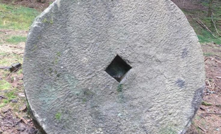 (Foto: Lichtenauer)