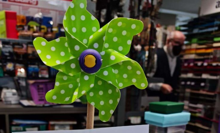 Der Klimaschutz steht in Gallneukirchen im Fokus. Foto: Christa Gratzer