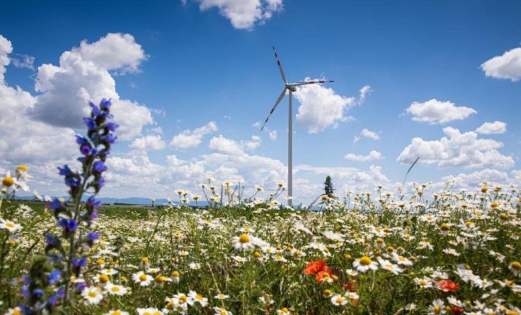  (Foto: WEB Windenergie AG)
