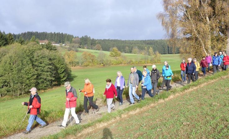  (Foto: Josef Reingruber)