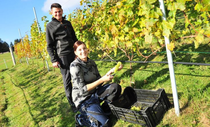 Mathias Sailer gemeinsam mit Freundin Birgit Danner im eigenen Weingarten (Foto: J. Reingruber)