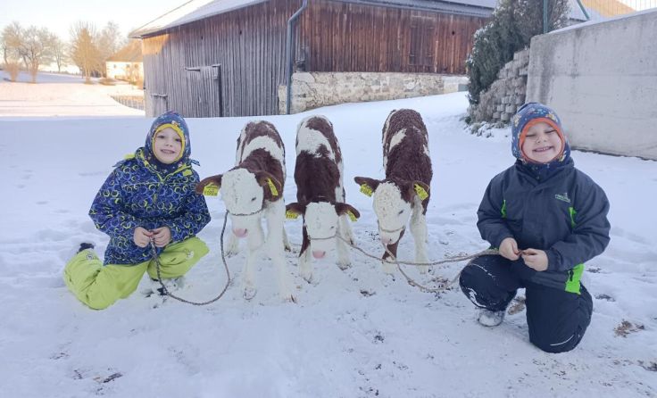 Die drei jungen Kälbchen sind wohlauf. (Foto: Privat)
