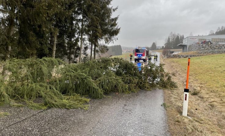 Die Feuerwehren im Bezirk sind erneut gefordert. (Foto: Herbert Enzenhofer/FF Zwettl an der Rodl)