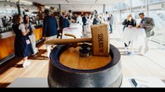 Upper Austria Ladies Linz: Tips-Bürgermeisterempfang mit tennisbegeisterten Ortschefs