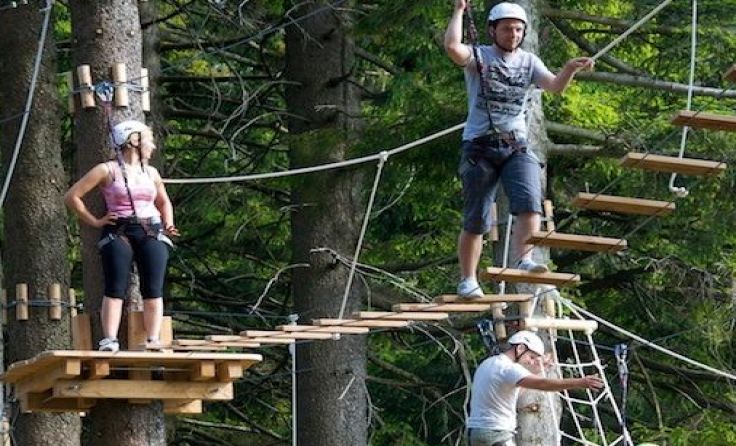 Acht Parcours und 75 Kletterelemente stehen im Naturhochseilpark bereit.