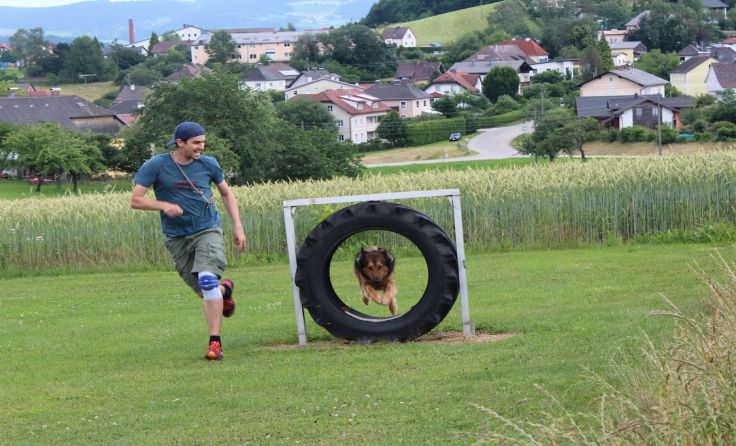 Beim SVÖ Rohrbach-Berg werden Hund und Herrl zu echten Teams. Foto: SVÖ