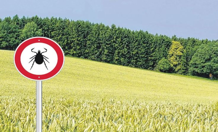 Foto: Schlegelfotos/shutterstock.com