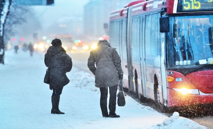 Foto: connel/shutterstock.com
