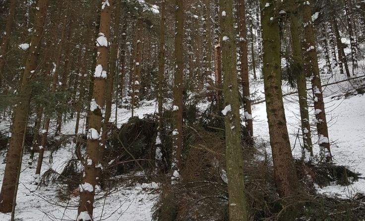 Foto: LK OÖ