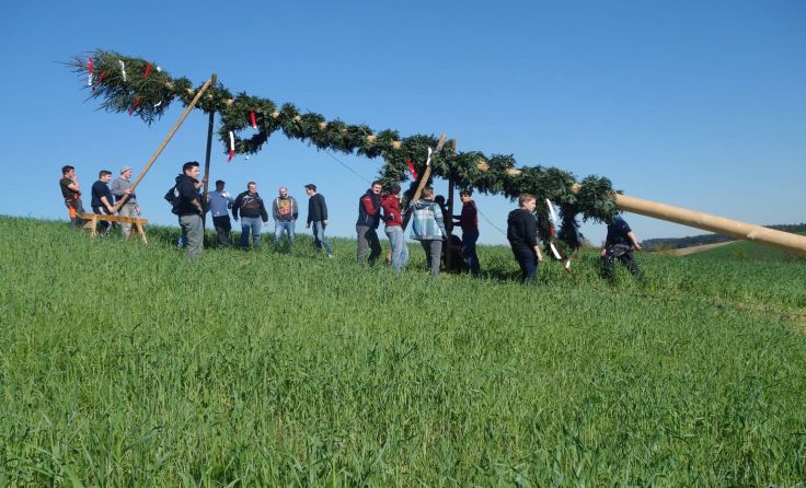 Bald werden in vielen Gemeinden die Maibäume aufgestellt. Foto: Landjugend OÖ