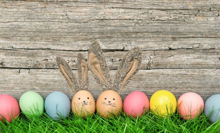 Am Sonntag suchen Groß und Klein wieder die bunten Ostereier. Foto: LiliGraphie/shutterstock.com