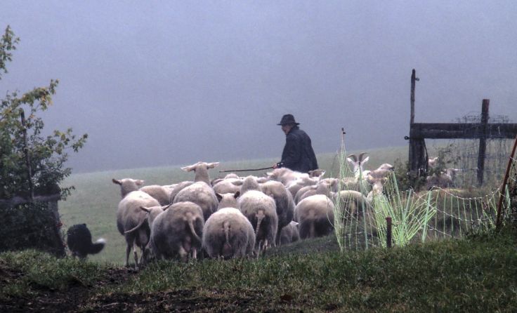 Die Tage wie das Jahr: ein Film von Othmar Schmiderer. Foto: Jazzatelier