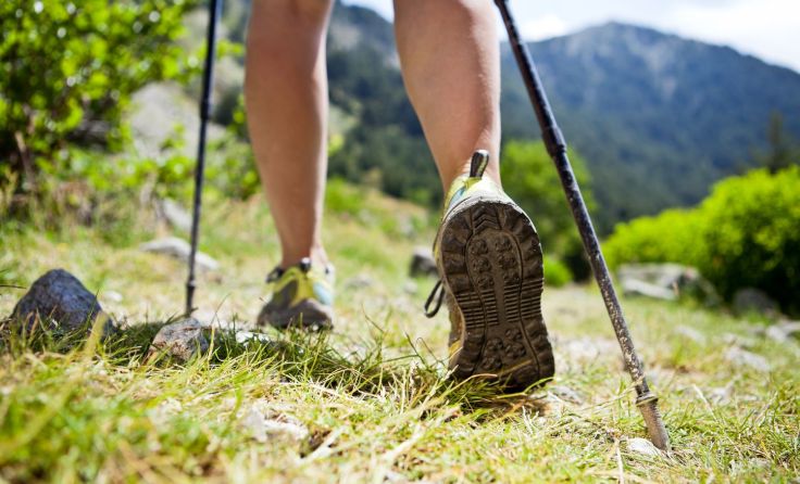 Schon nächstes Jahr soll der Wanderweg fertig sein. Foto: Blazej Lyjak/shutterstock.com