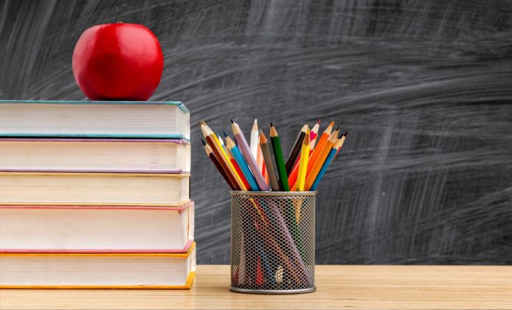In Rohrbach tragen zehn Schulen das Gütesiegel. Foto: Billion Photos/shutterstock.com