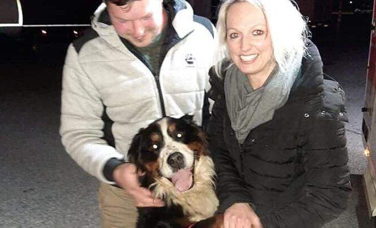 Drei Wochen und rund 100 Kilometer war Hündin Paula unterwegs. Foto: TROÖ