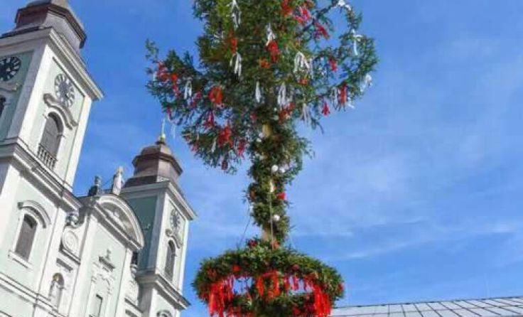 Der Linzer Maibaum wird nicht wieder zurück transportiert. (Foto: Stadt Linz/Dworschak)