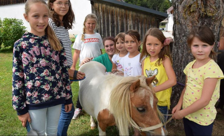 Kinder können beim Nebelberger Sommerfest Ponyreiten. (Foto: privat)