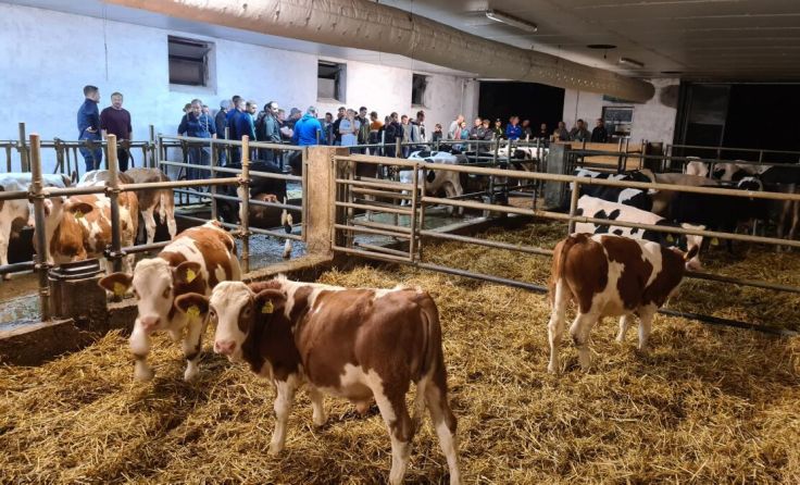 Familie Pürmayer öffnete für die Jungbauernschaft ihre Stalltüren. (Foto: privat)